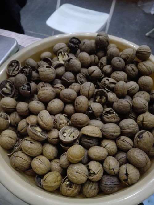 从蚂蚁山到会展中心 一颗果子的乡愁之旅