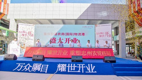 忠县农产品物流港盛大开业，一站式初加工服务赋能农产品流通体系现代化