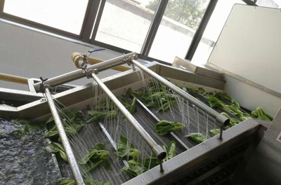 科技引领品牌护航 “丽水山耕”梦工厂的农产品初加工崛起之路