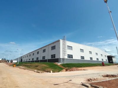 海外业务同比增长超50%！湖南建投集团以新质生产力助推农产品初加工服务“出海”