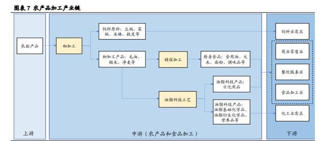 金龙鱼深度解析 厨房食品业务优势突显，饲料业务景气上行